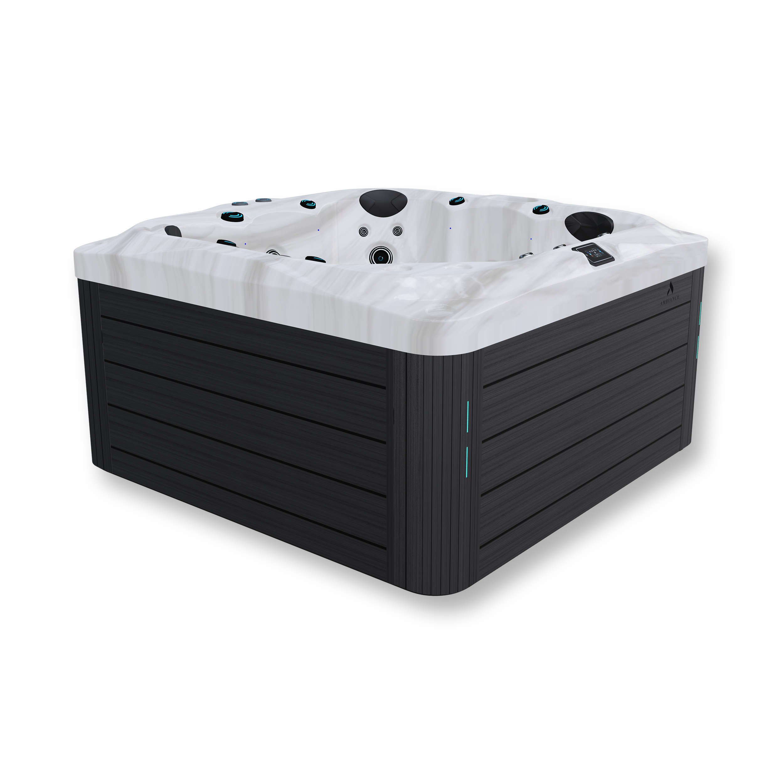 Premium hot tub with dual pumps, hydrotherapy jets, and touchscreen control